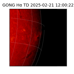 gong - 2025-02-21T12:00:22
