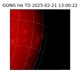 gong - 2025-02-21T13:00:22