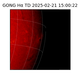 gong - 2025-02-21T15:00:22
