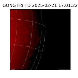 gong - 2025-02-21T17:01:22