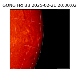 gong - 2025-02-21T20:00:02