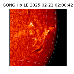 gong - 2025-02-21T02:00:42