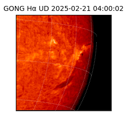gong - 2025-02-21T04:00:02