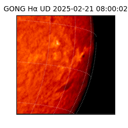 gong - 2025-02-21T08:00:02