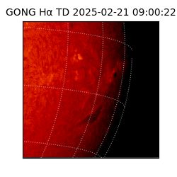gong - 2025-02-21T09:00:22