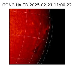 gong - 2025-02-21T11:00:22