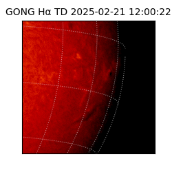 gong - 2025-02-21T12:00:22