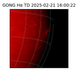 gong - 2025-02-21T16:00:22