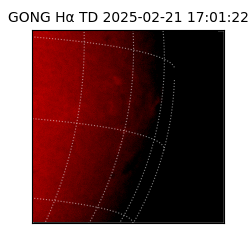 gong - 2025-02-21T17:01:22