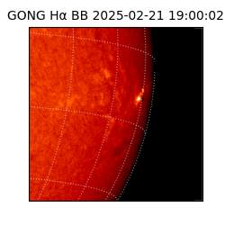 gong - 2025-02-21T19:00:02