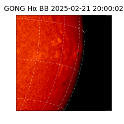 gong - 2025-02-21T20:00:02