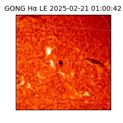 gong - 2025-02-21T01:00:42