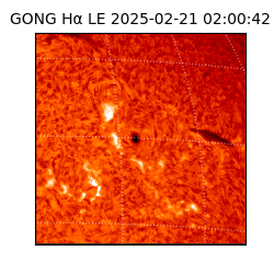 gong - 2025-02-21T02:00:42