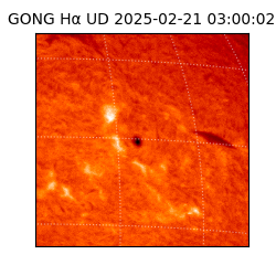 gong - 2025-02-21T03:00:02