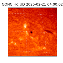 gong - 2025-02-21T04:00:02