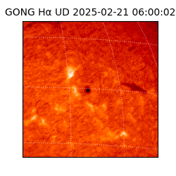 gong - 2025-02-21T06:00:02