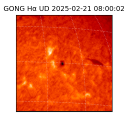 gong - 2025-02-21T08:00:02