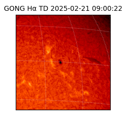 gong - 2025-02-21T09:00:22