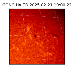 gong - 2025-02-21T10:00:22