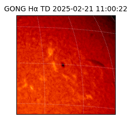gong - 2025-02-21T11:00:22