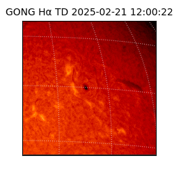 gong - 2025-02-21T12:00:22