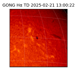 gong - 2025-02-21T13:00:22