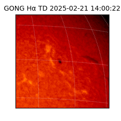 gong - 2025-02-21T14:00:22