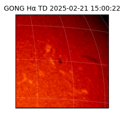 gong - 2025-02-21T15:00:22
