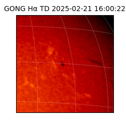 gong - 2025-02-21T16:00:22