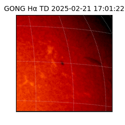 gong - 2025-02-21T17:01:22