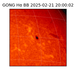 gong - 2025-02-21T20:00:02