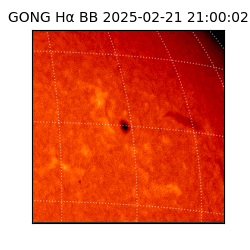 gong - 2025-02-21T21:00:02