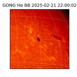 gong - 2025-02-21T22:00:02