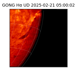 gong - 2025-02-21T05:00:02
