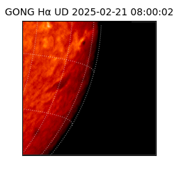 gong - 2025-02-21T08:00:02