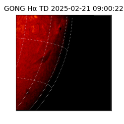 gong - 2025-02-21T09:00:22