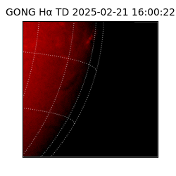 gong - 2025-02-21T16:00:22