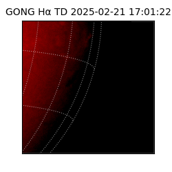 gong - 2025-02-21T17:01:22
