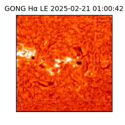 gong - 2025-02-21T01:00:42