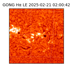 gong - 2025-02-21T02:00:42