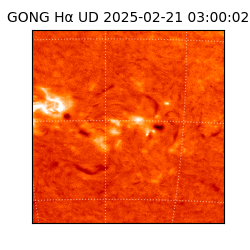 gong - 2025-02-21T03:00:02