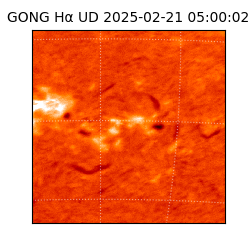 gong - 2025-02-21T05:00:02