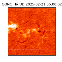 gong - 2025-02-21T06:00:02