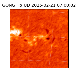 gong - 2025-02-21T07:00:02