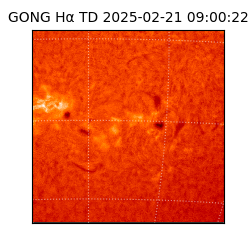 gong - 2025-02-21T09:00:22