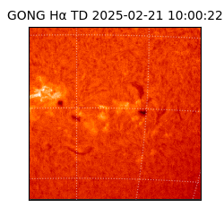 gong - 2025-02-21T10:00:22