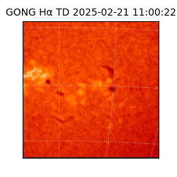 gong - 2025-02-21T11:00:22