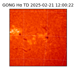 gong - 2025-02-21T12:00:22