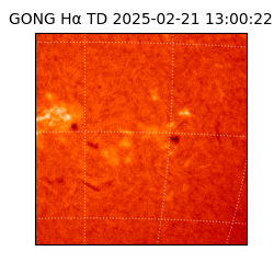 gong - 2025-02-21T13:00:22