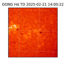 gong - 2025-02-21T14:00:22